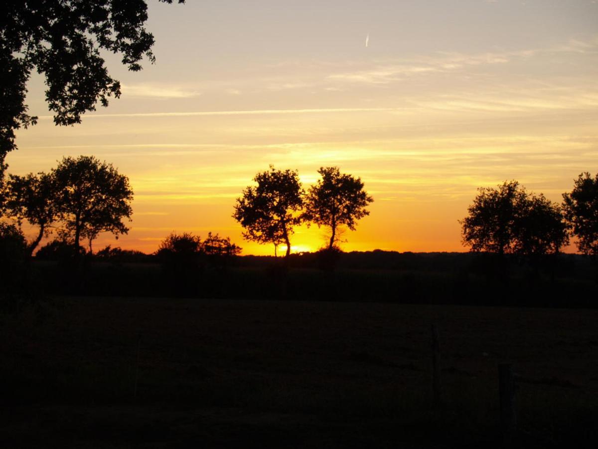 Camping Chez L'Habitant Noyal-Muzillac Buitenkant foto